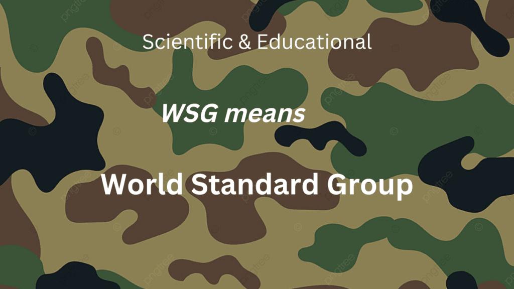 What Does WSG Mean A Simple (But Complete) Guide by Gregory771 Issuu