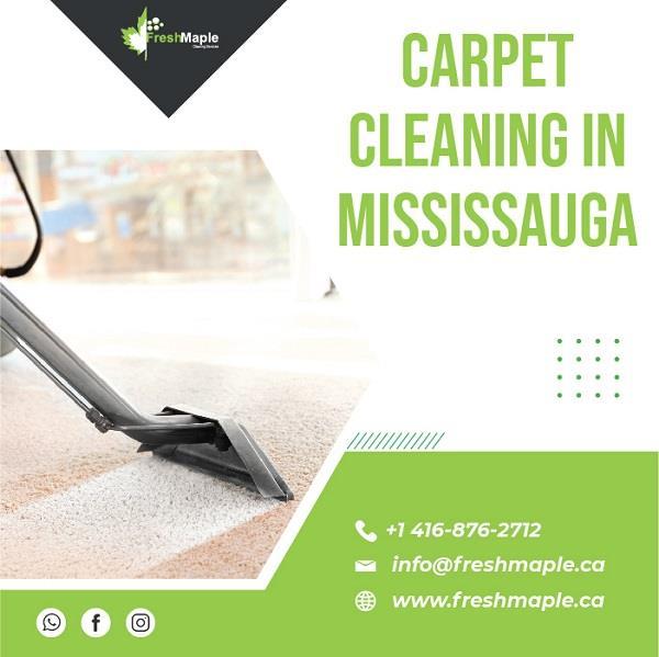 Health is the Priority with the Options Available for Carpet Cleaning