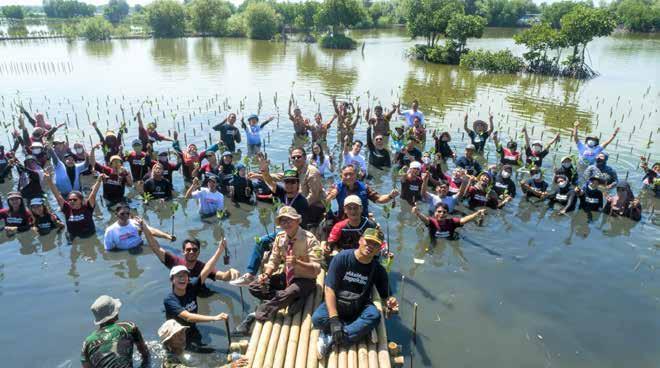 Cover for • Tanam Ribuan Mangrove di Pesisir Tangerang, Banten