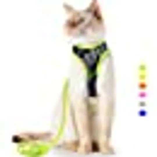 amazon cat toys best sellers by Amazon Products Issuu
