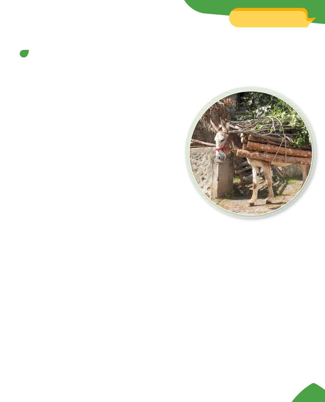 Cover for La raccolta differenziata