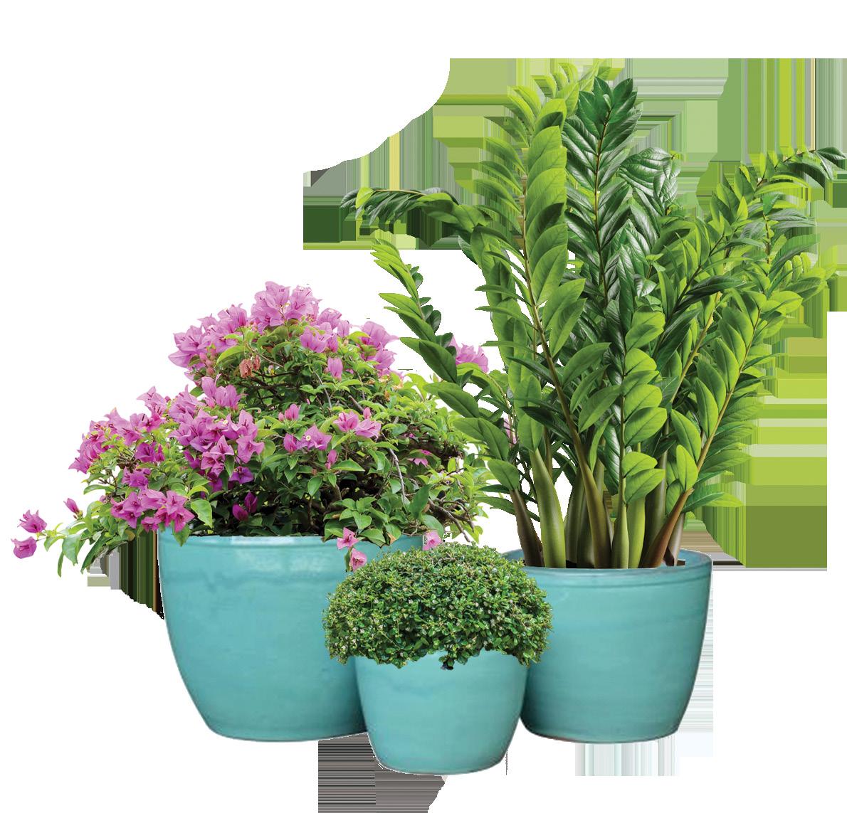 Outdoor Planters Catalogue 2023 / Edition 1 by Bunnik Creations Issuu