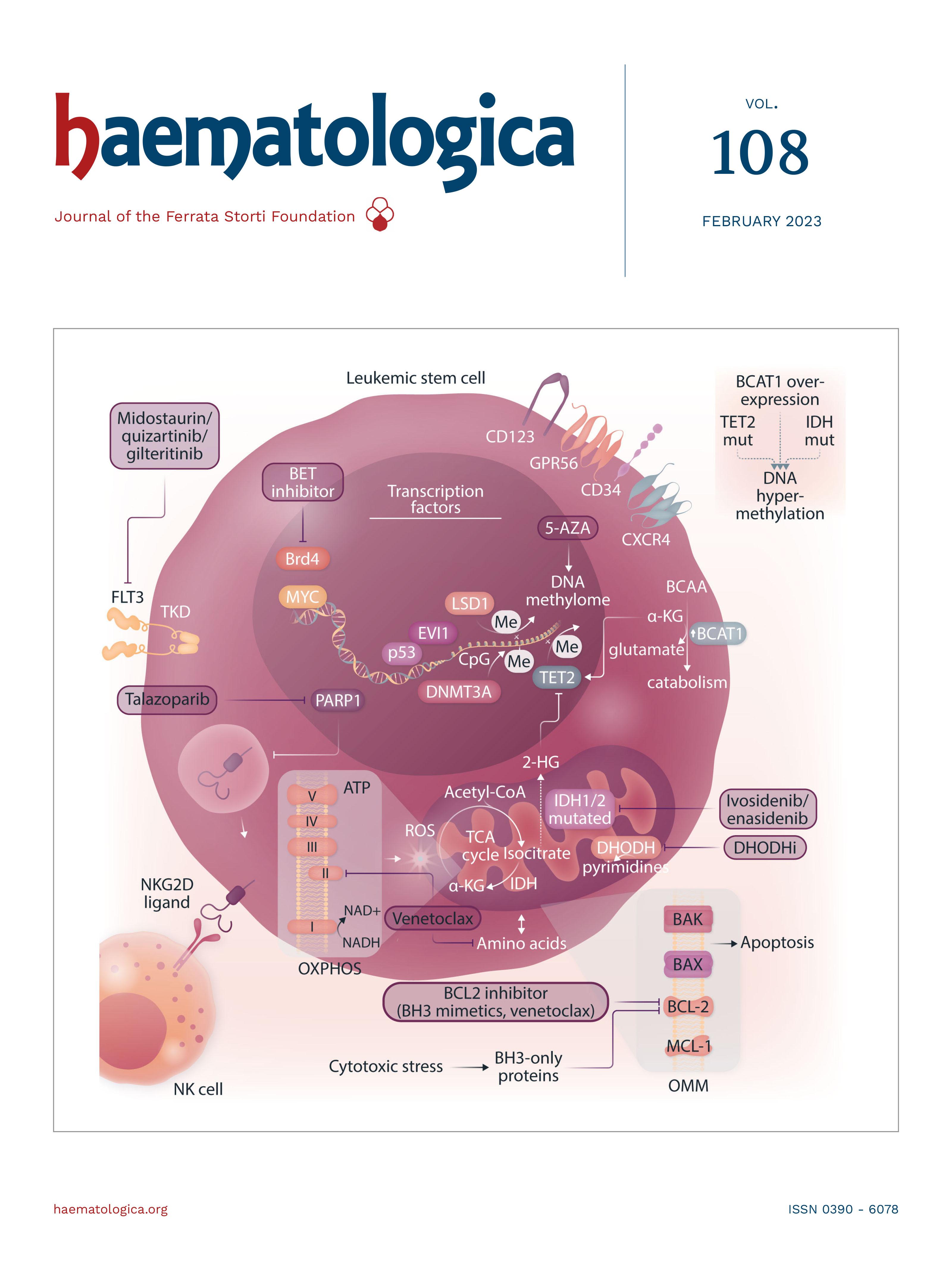 Haematologica, Volume 108, Issue 2 by Haematologica