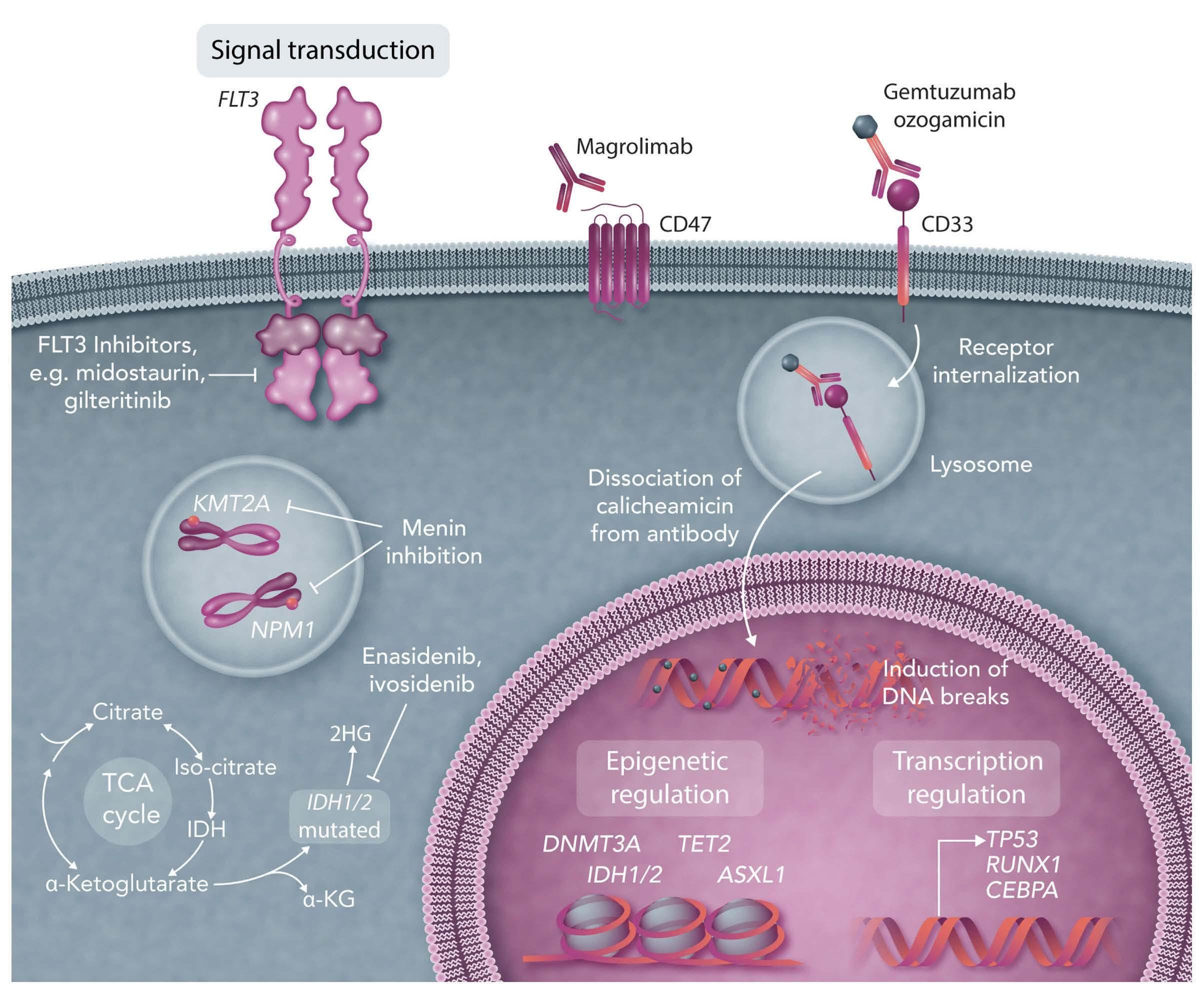 Article from: Haematologica, Volume 108, Issue 2