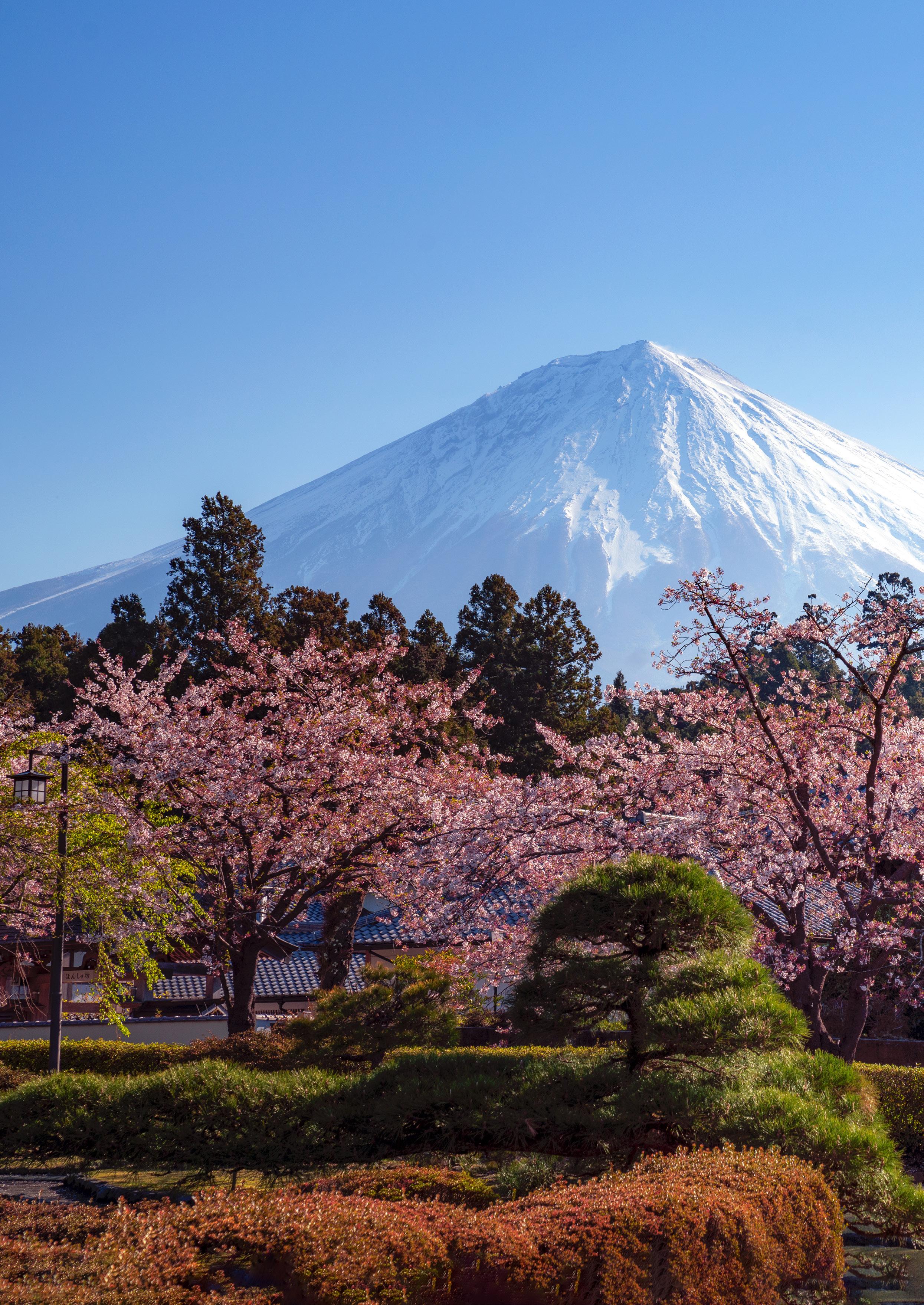 Japan Brochure 2023-2024 - Trade by Wendy Wu Tours - Issuu