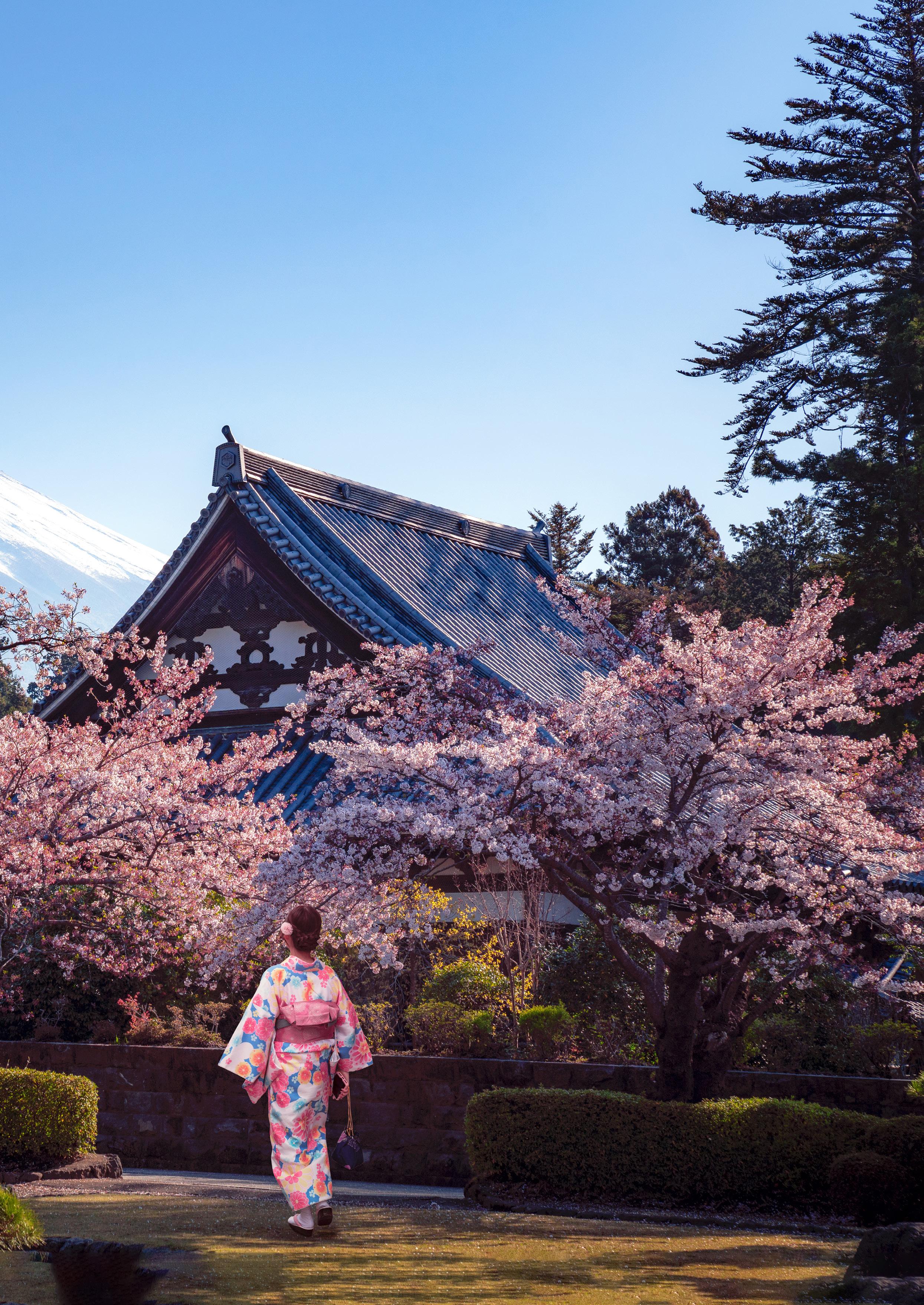 Follow Me JAPAN パンフレット Japan Travel Specialists from Singapore | Custom Tours