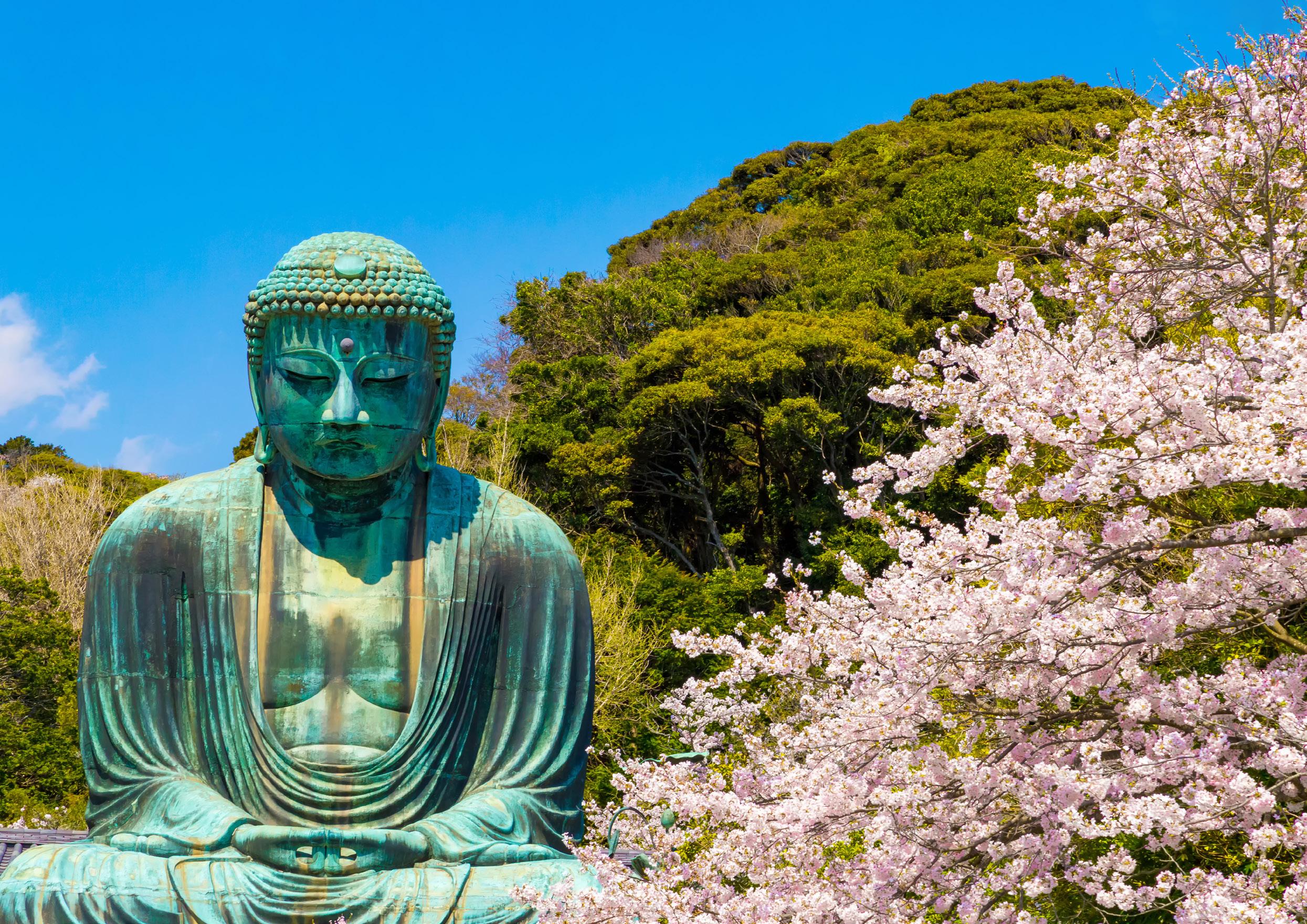 Follow Me JAPAN パンフレット Japan Travel Specialists from Singapore | Custom Tours