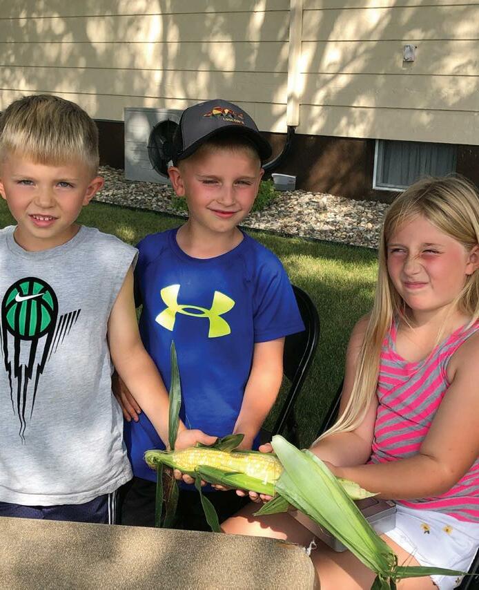 Bruner Angus Ranch Sale Catalog 2023 by PeltonLivestock Issuu