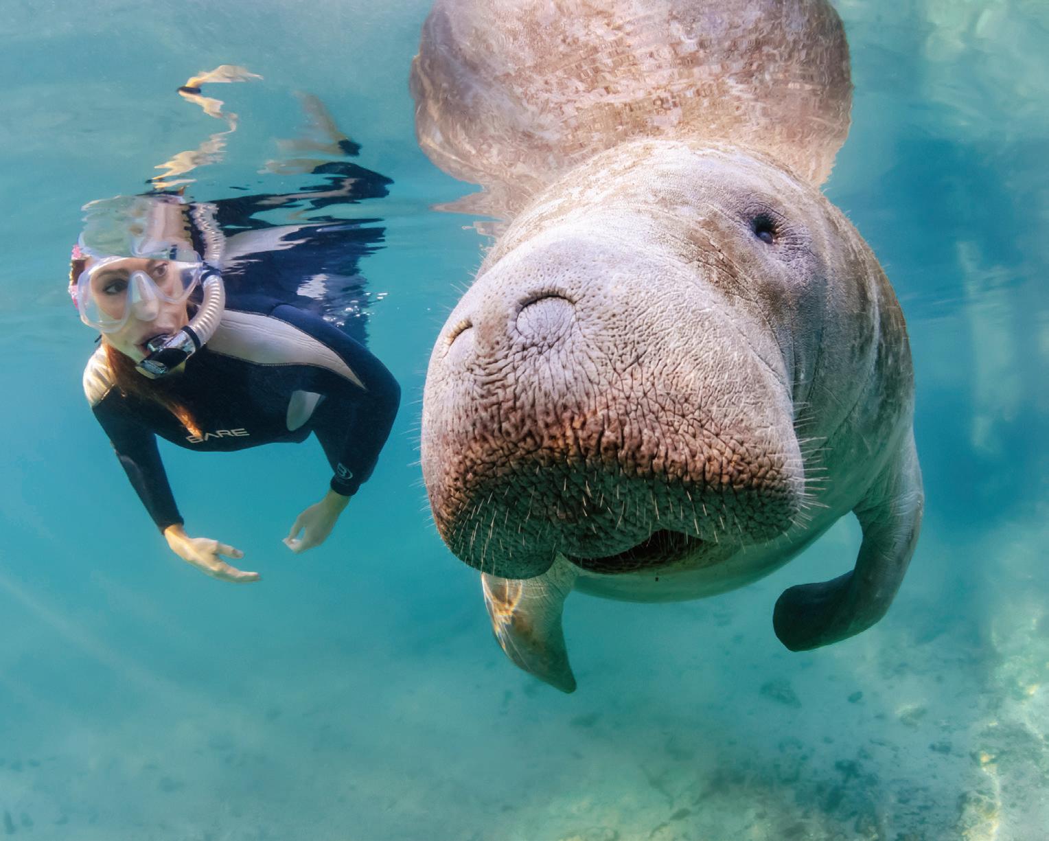 Unique Date Ideas In Tampa Bay Check Issuu