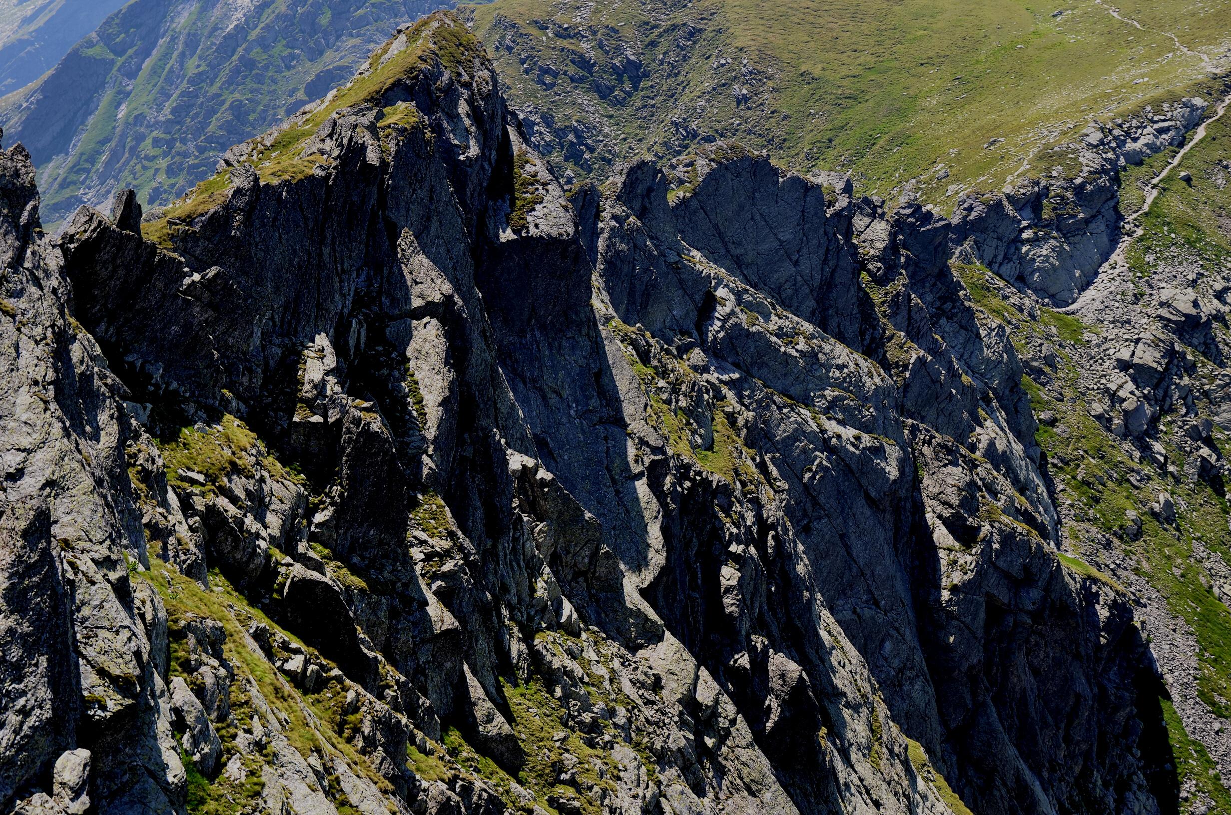 Metamorfismo by Jҽιɱɱყ Cαʂƚɾσ Q Issuu