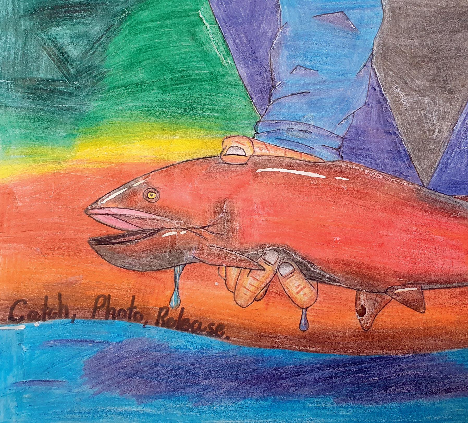 Salmon and Sea Trout Angling Regulations 2023 by Inland Fisheries