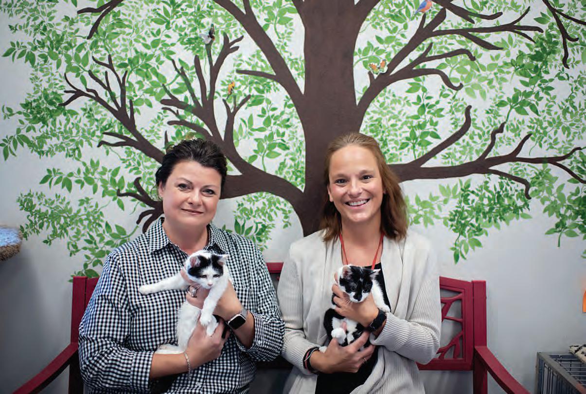 Hillgrove Avenue Magazine, Volume 2, Issue 5 by hillgroveavenuemagazine