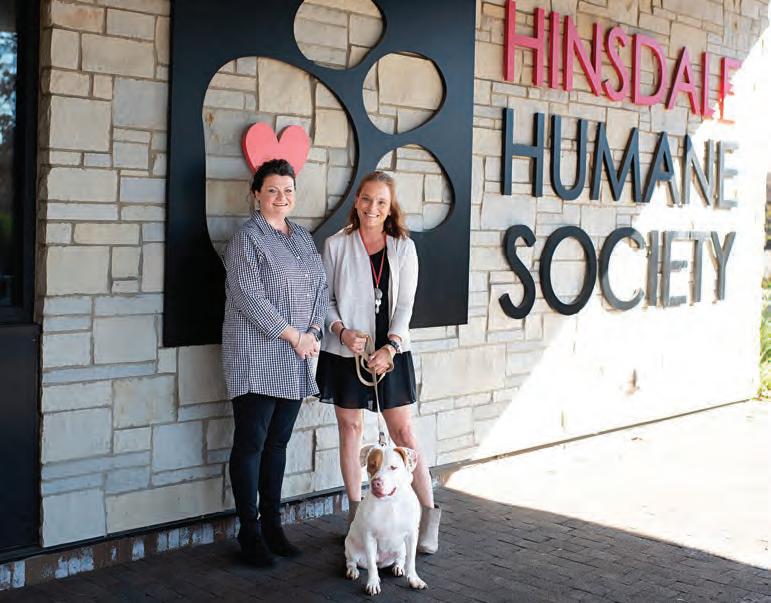 Hillgrove Avenue Magazine, Volume 2, Issue 5 by hillgroveavenuemagazine