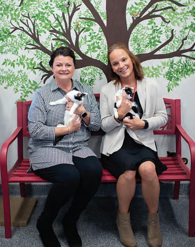 Hillgrove Avenue Magazine, Volume 2, Issue 5 by hillgroveavenuemagazine