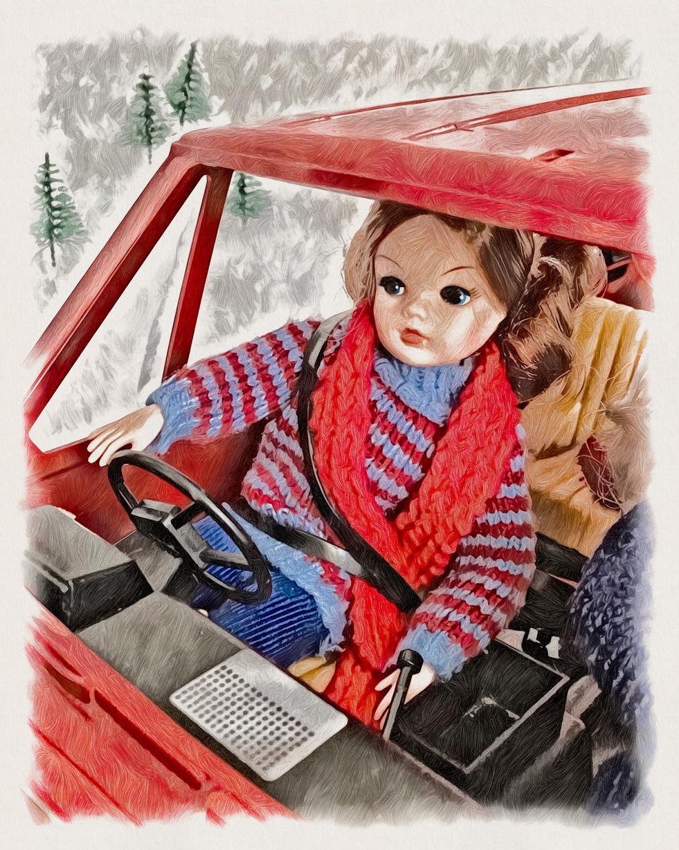 Alpine Adventure