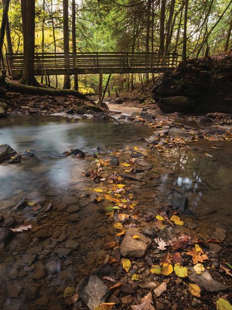 Explore a Variety of Trails
