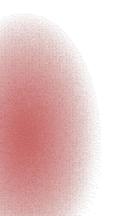 Cover for CAPACITY AND SKILLS BUILDING THROUGH EDUCATION, MENTORSHIP PROGRAMS AND WORKSHOPS.