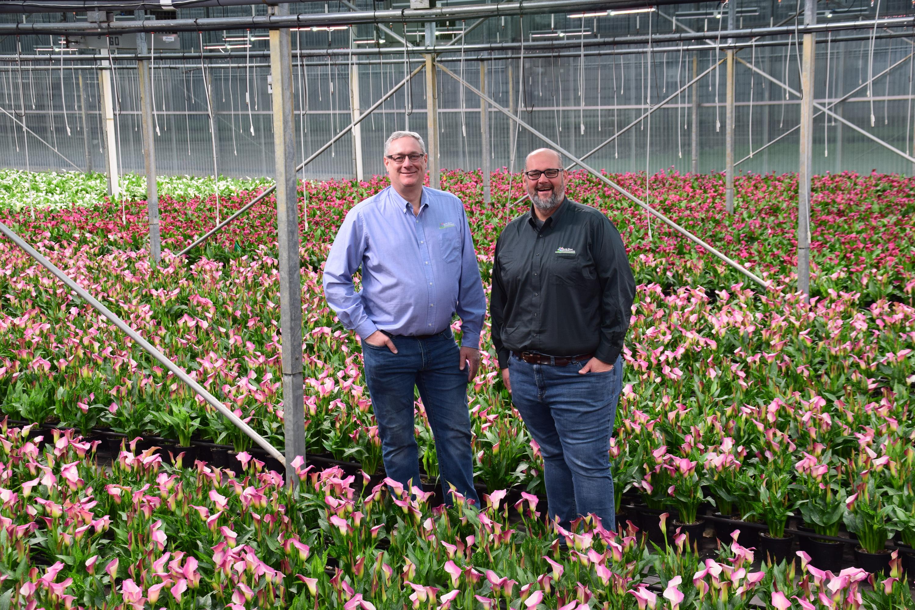 Andy Mast Greenhouses 2023 by amgreenhouse Issuu