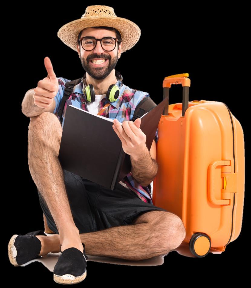 introducing the American Airlines Pet Policy by American Airlines Pet