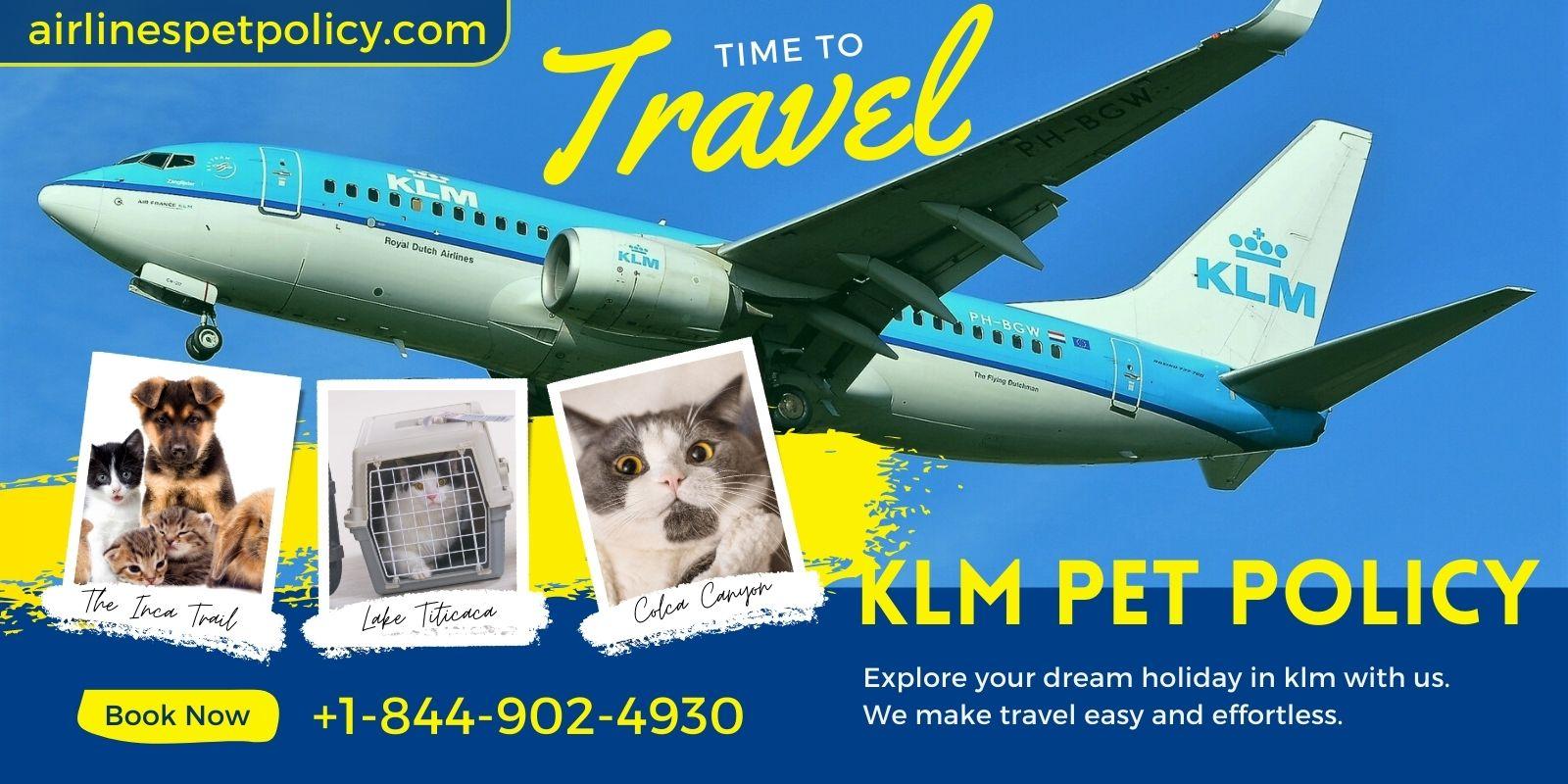 What is KLM Pet Policy? by KLM Pet Policy Issuu
