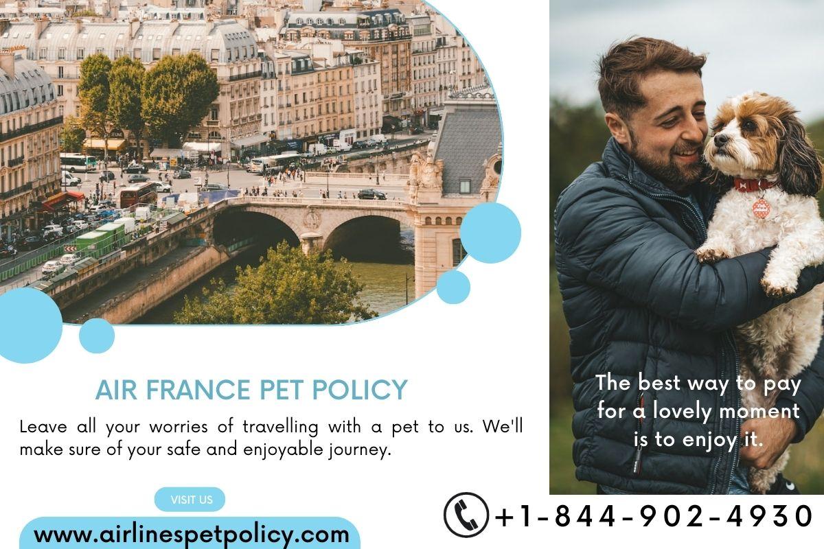 What is Air France Pet Policy? by airfrancepetpolicy Issuu