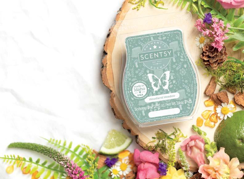Scentsy Spring/Summer 2023 Catalog - US/EN by Ashley Templin - Issuu