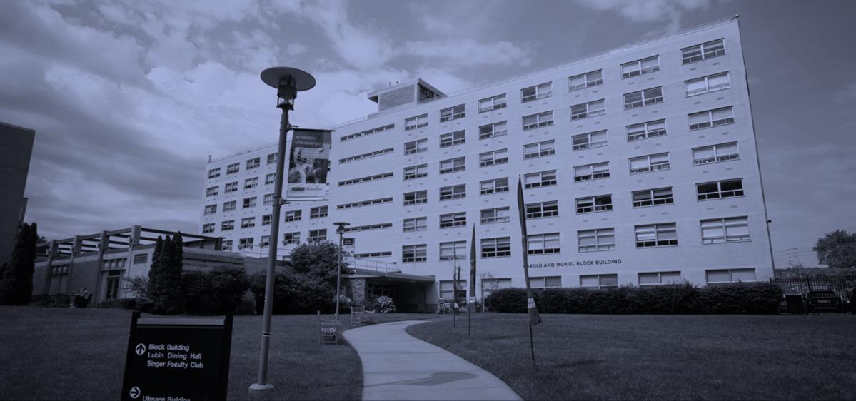 Albert Einstein College of Medicine Student Handbook 2023-2024 by arvinddev  - Issuu