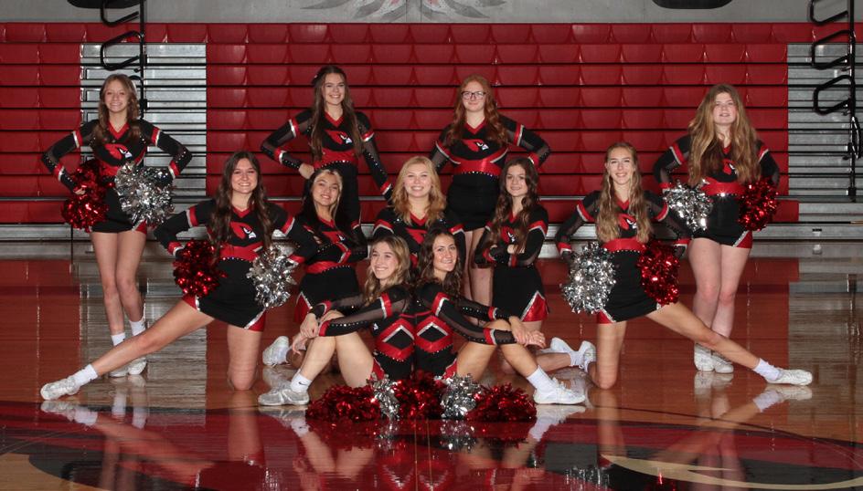 9493 IHSA Competitive Cheer Sectional by Precision Marketing Group