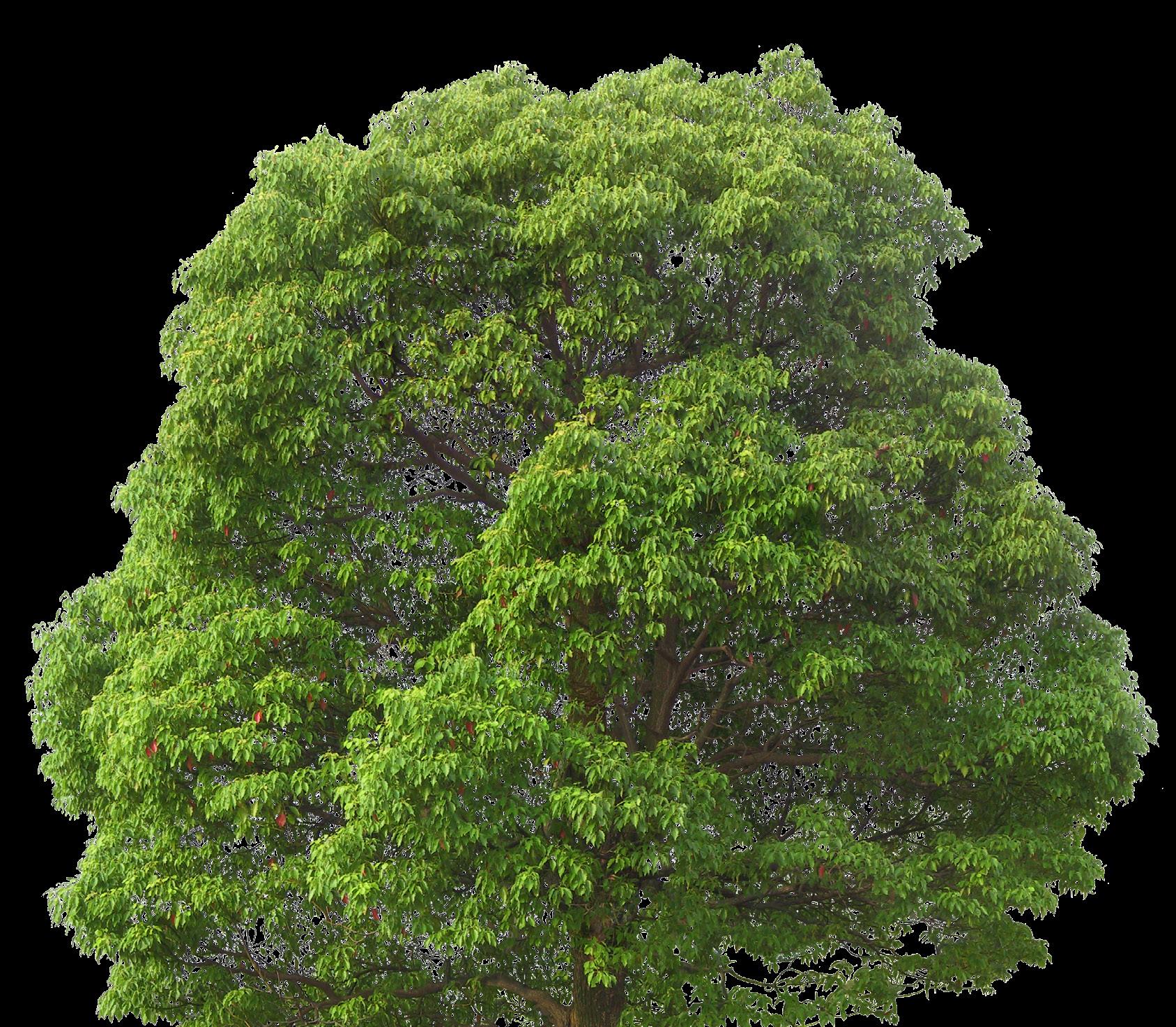 NVC Översättningstabell LED by NVC lighting swe - Issuu