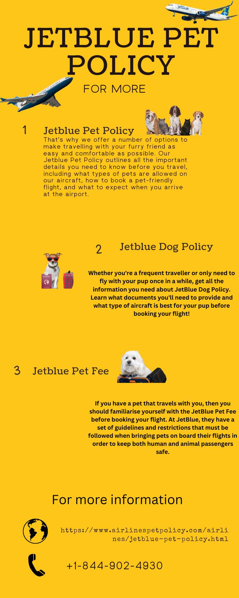 Jetblue Pet Policy by Jetblue airlines Pet policy Issuu