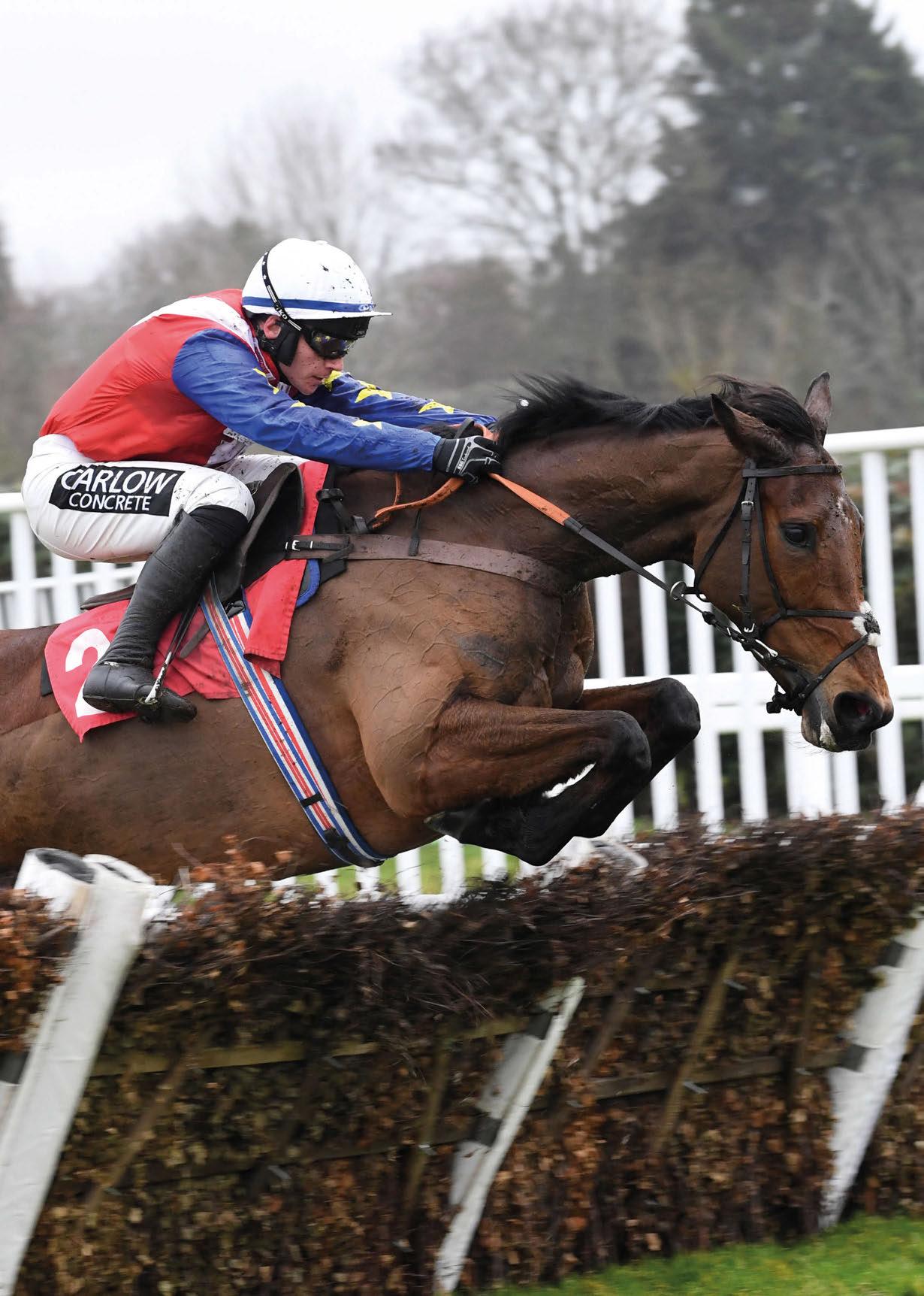 walsgrave amateur riding club