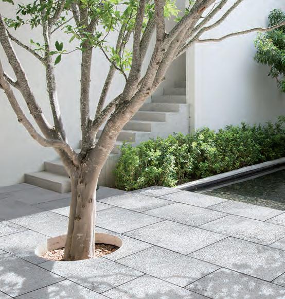 A Beton Fa: Az Örök Szépség és a Robusztus Erő Találkozása