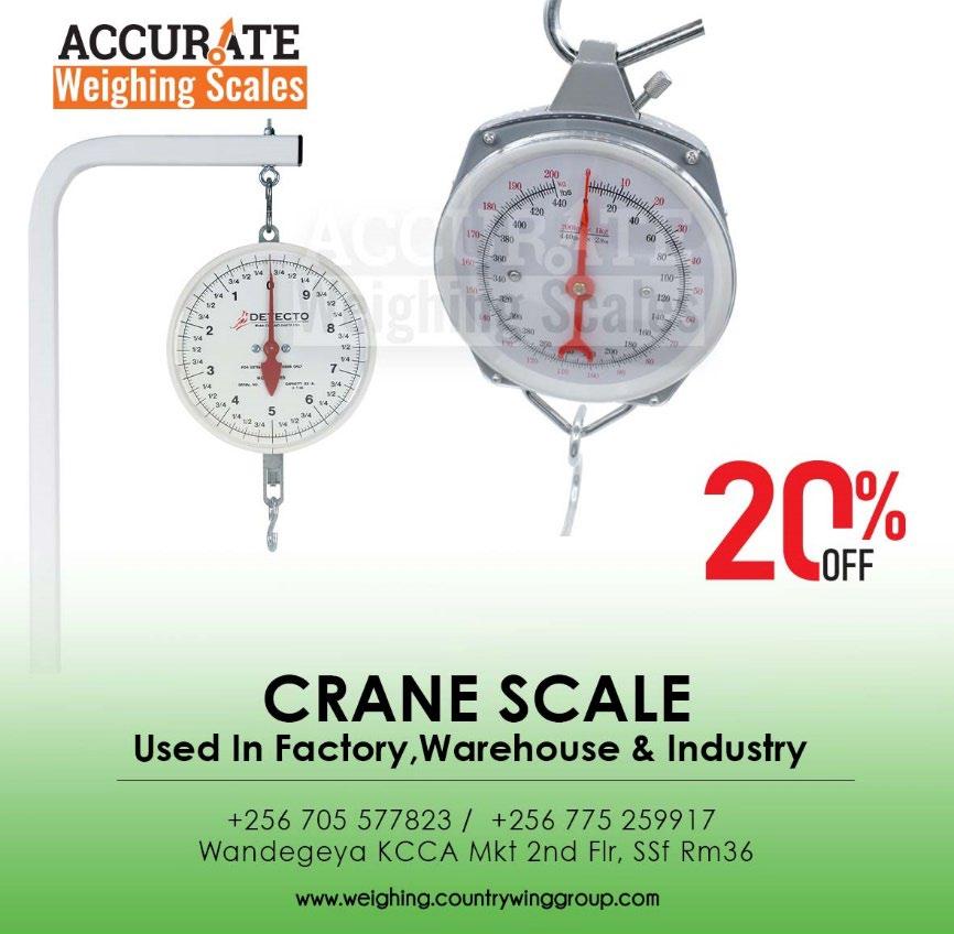 Crane Scale 200kg/300kg Weighing Digital Industrial Hanging