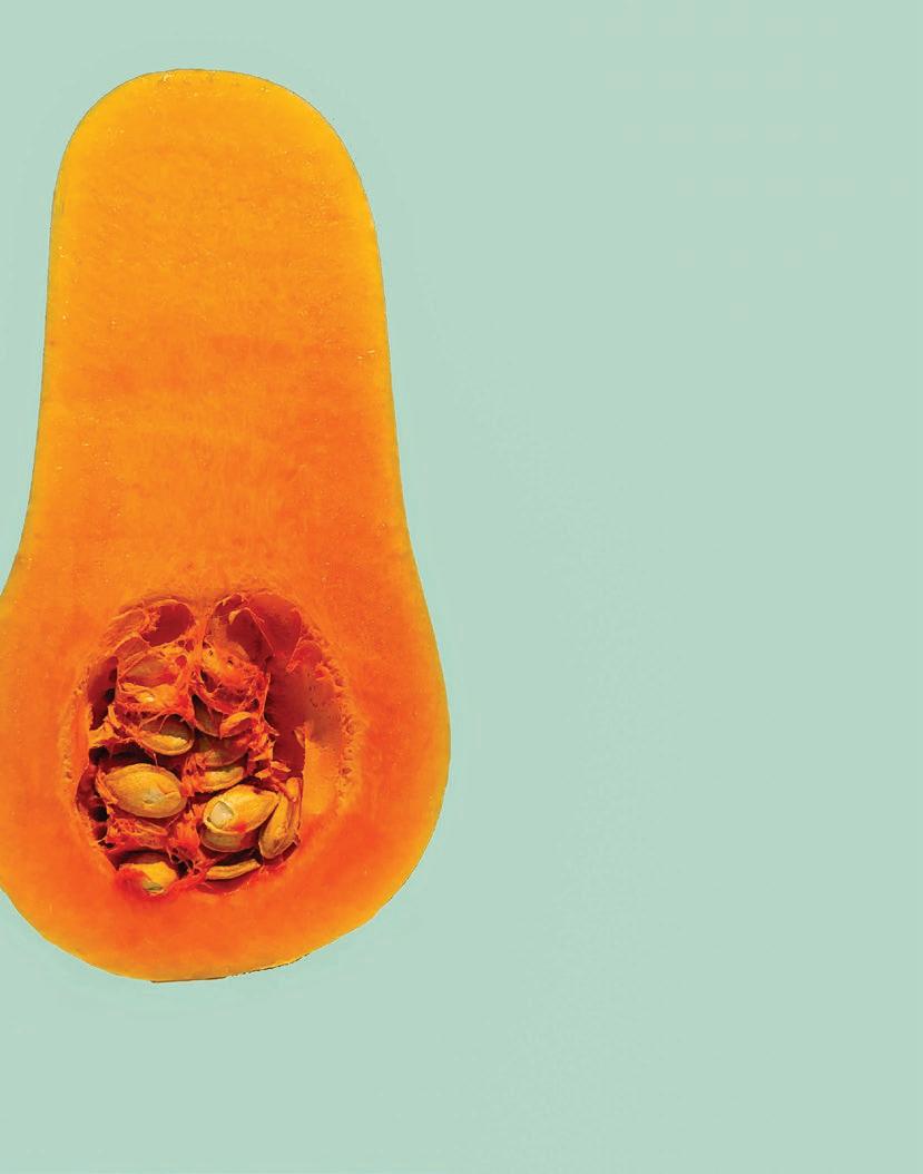Butternut Squash