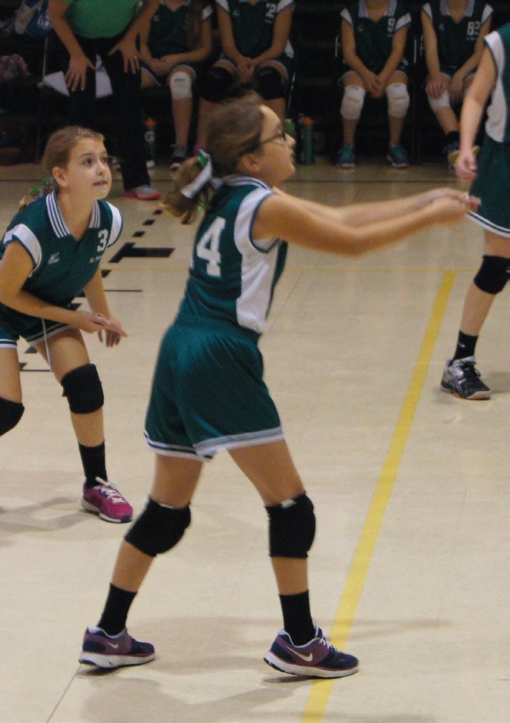 Cover for Angels in the Industry: Celebrate all women in sports