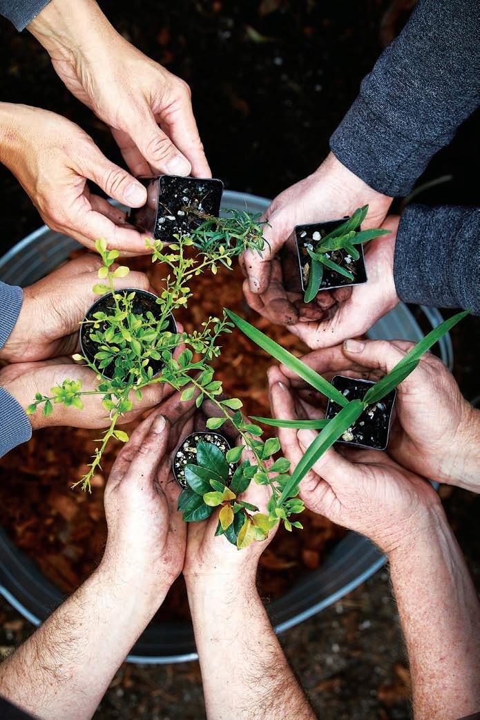 Cover for Taking on the ESG heavy lifting