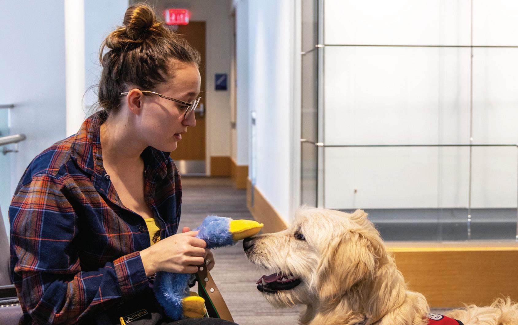 Cover for SAD winters: Seasonal depression affects some UK students