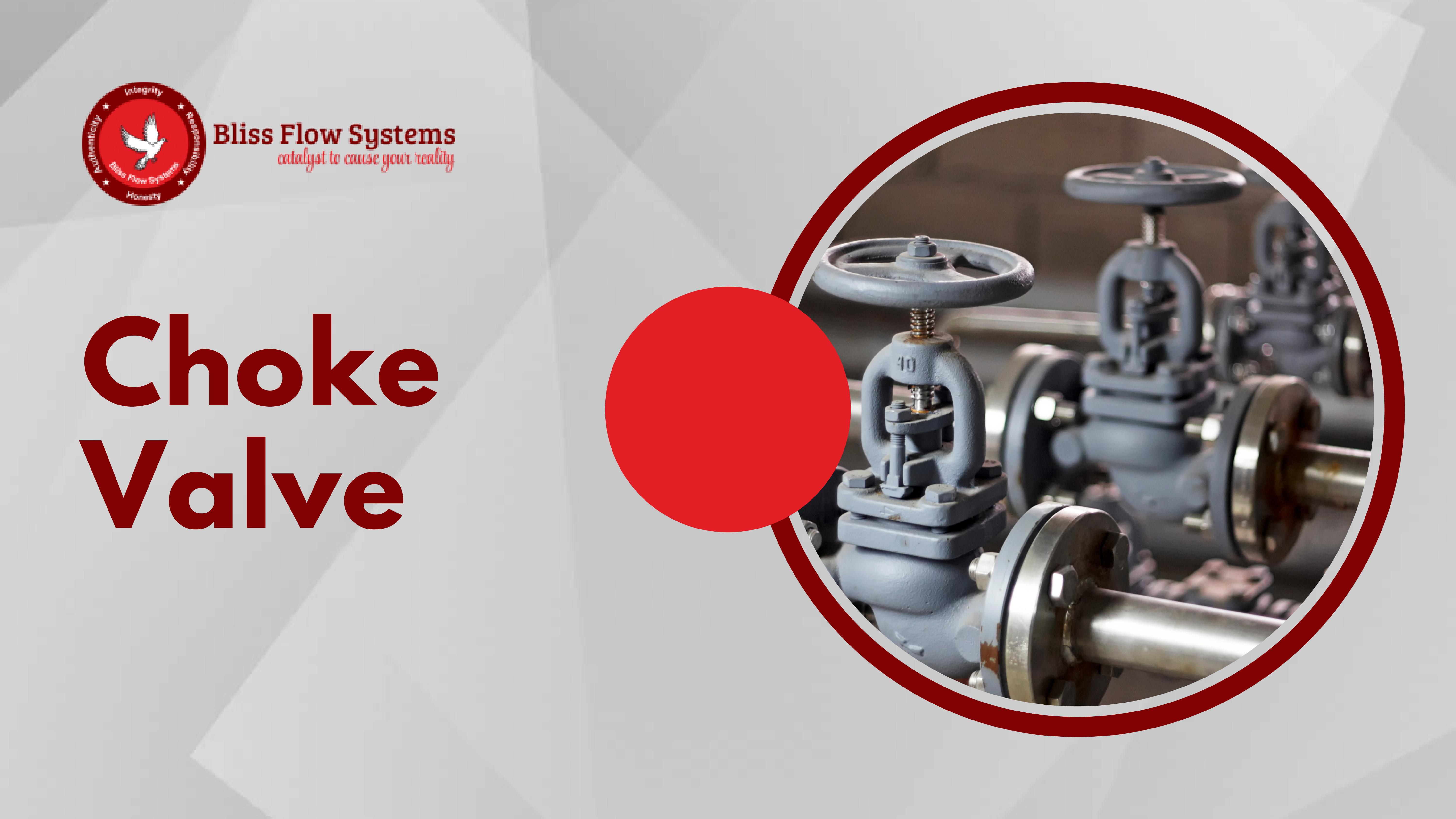Bliss flow systems Choke Valve supplier india by Epitomegs Issuu