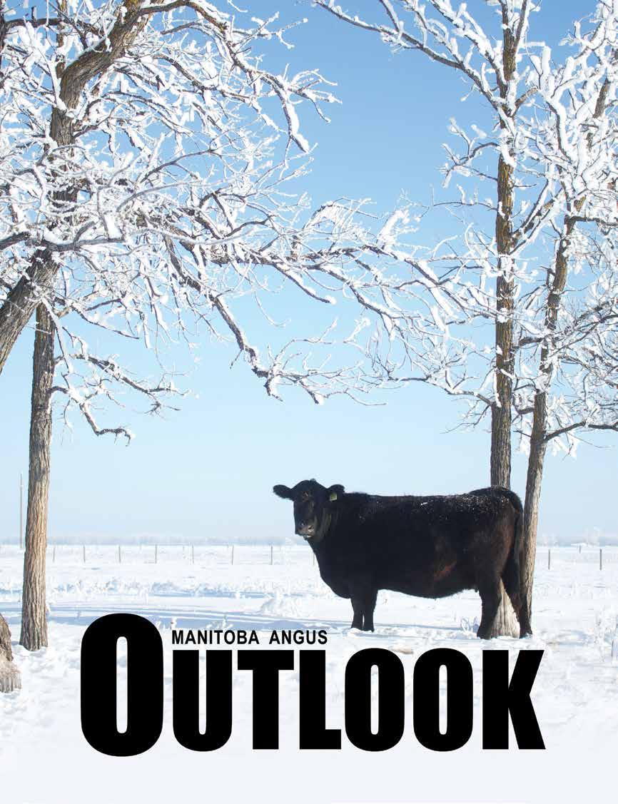 Manitoba Angus Outlook Spring 2023 Issue by mandi.mbangus Issuu