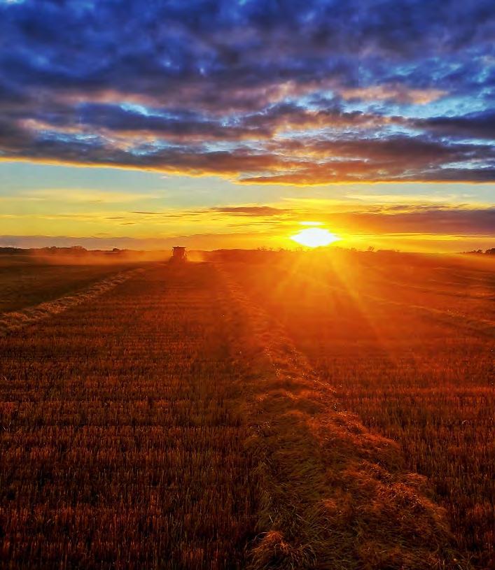 Manitoba Angus Outlook Spring 2023 Issue by mandi.mbangus Issuu