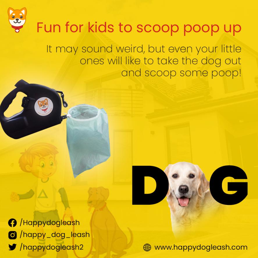 EasyToCarry Long Handle Dog Pooper Scooper by hoshikobv Issuu
