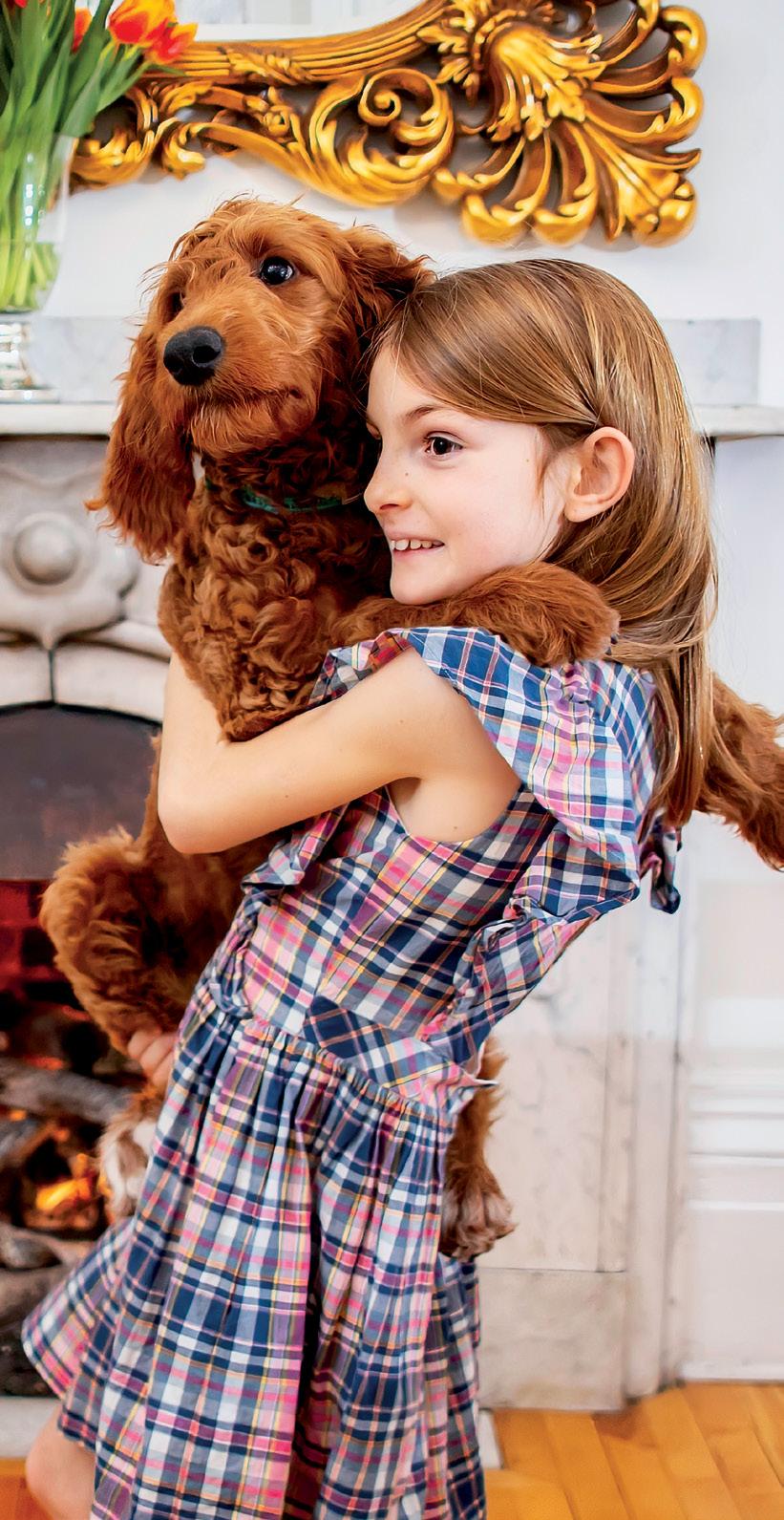 Cover for Choosing the perfect pet