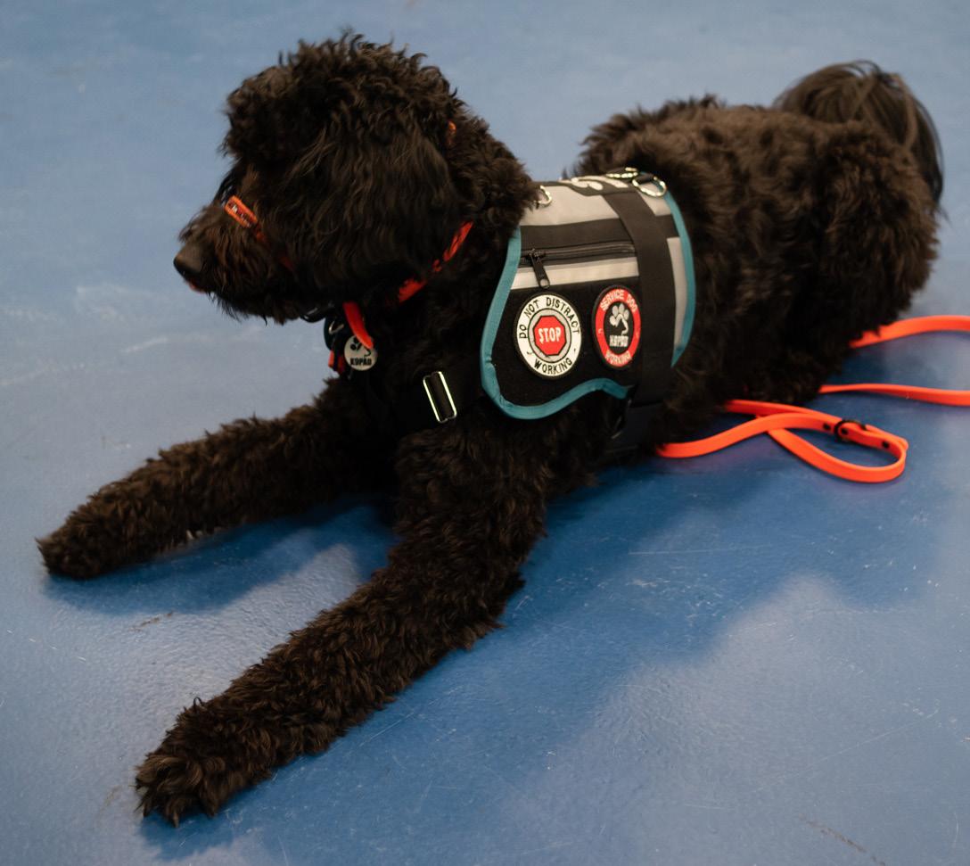 Cover for Pets with purpose