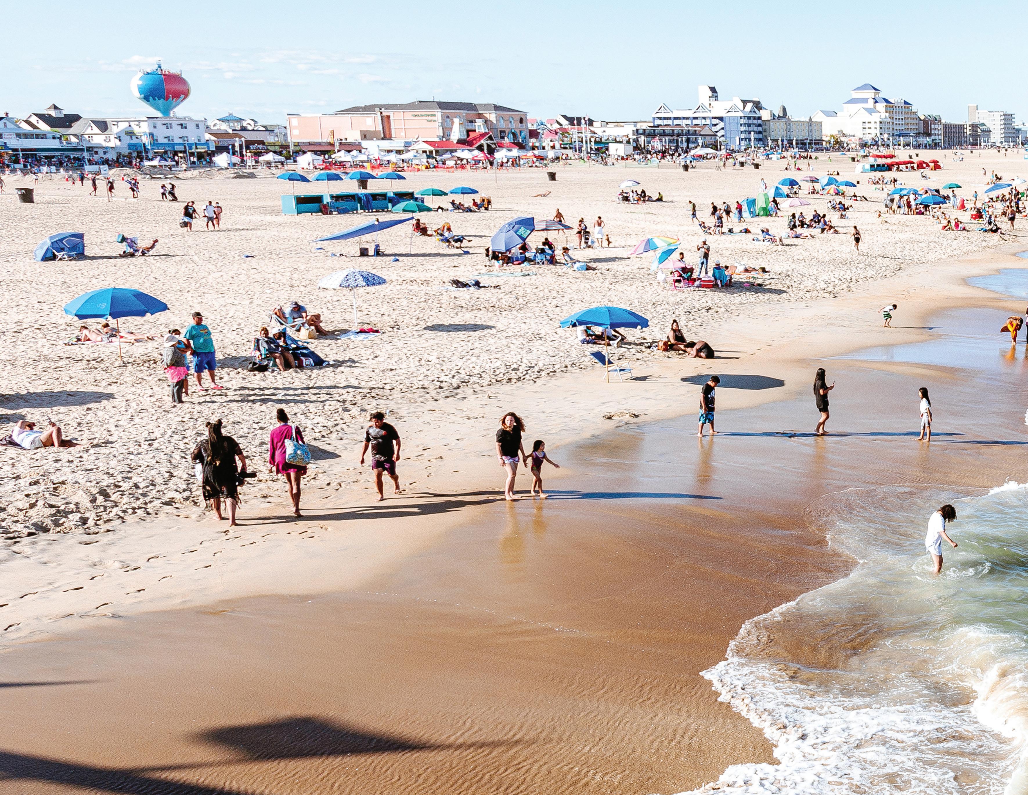 Beachgoers Beware? 5 Pathogens That Lurk In Sand