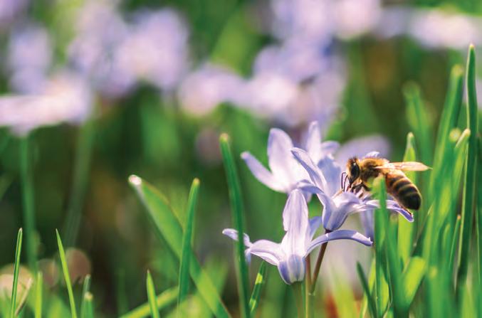 Cover for LIVING YwiGRIEF