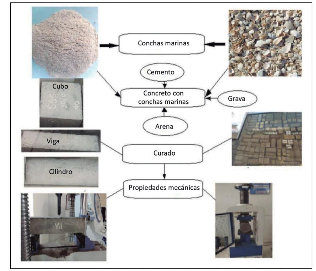 Cover for Empleo de las conchas marinas en materiales de construcción
