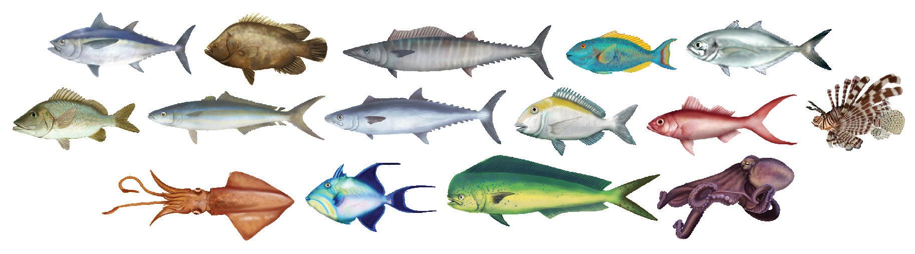 Nutrition and Hygienic Handling of Fish and Seafood, Wanda Pantojas