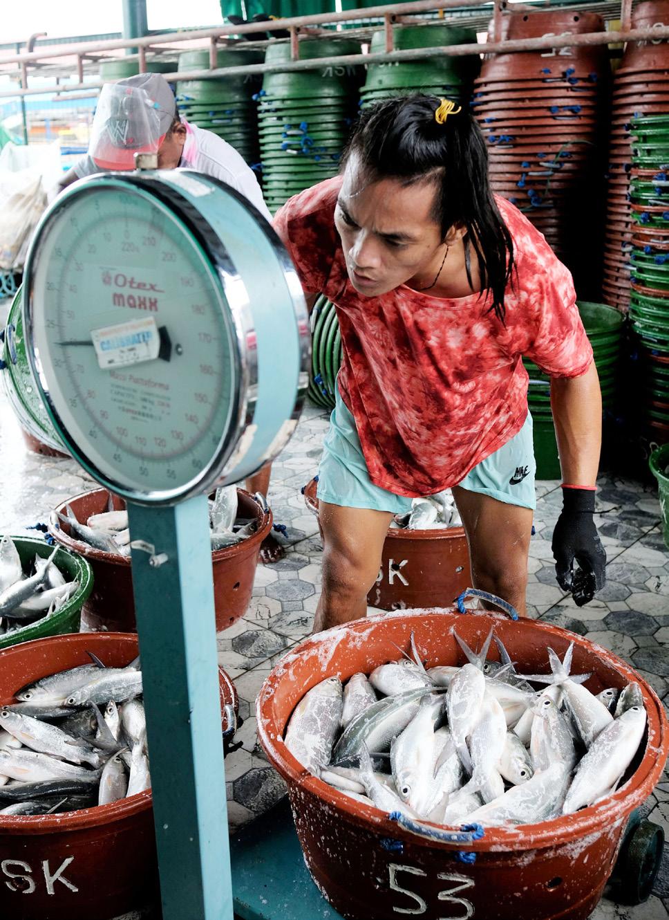 Cover for CAN AQUACULTURE HELP SOLVE OUR DWINDLING FISH SUPPLY?