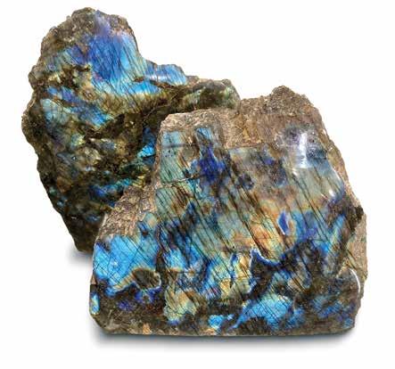 Cover for Gallery the