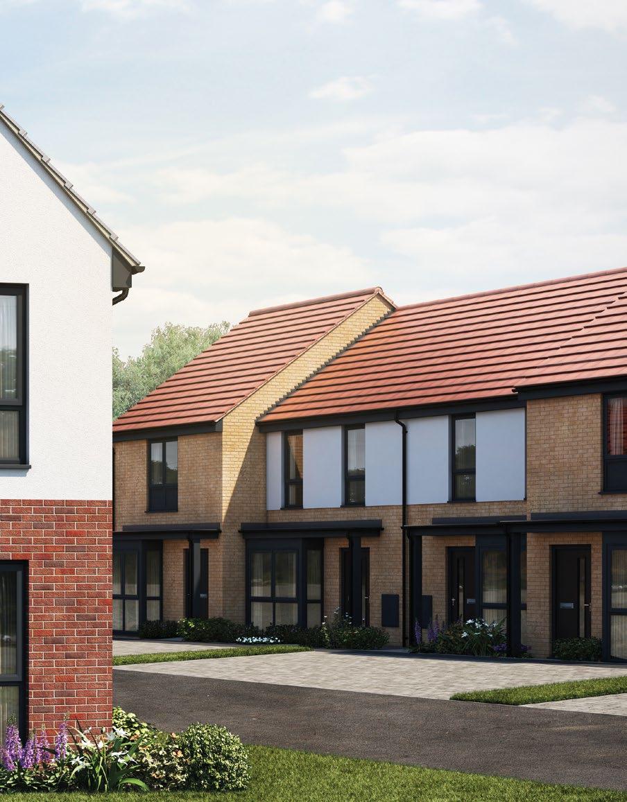The Paddocks Brochure by Tilia Homes Issuu